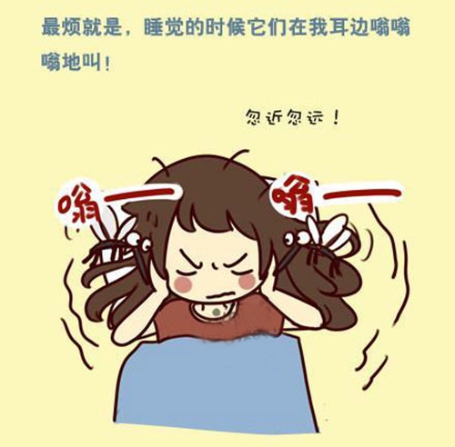 蚊子醒了！快走進紗窗世界，遠離蚊蟲so easy！